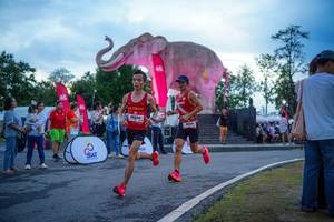 BIB: 
                            <button type="button" onclick="openModal(26551741)" class="btn btn-primary btn-sm float-right btn-popup" data-toggle="modal" data-target=".modal-high-quality">
                        <i class="fas fa-shopping-cart"></i> Add to Cart
                    </button>
                                            <button type="button" onclick="isThisMe(26551741, true)" class="btn btn-success btn-sm float-right btn-popup btn-isme hidden" data-toggle="tooltip" data-placement="bottom" title="นี่คือรูปของคุณใช่ไหม คลิกที่นี่เพื่อเอาเข้าอัลบั้ม">
                        <i class="fas fa-plus"></i> Add to album
                    </button>
                    <button type="button" onclick="isThisMe(26551741, false)" class="btn btn-warning btn-sm float-right btn-popup btn-isnotme hidden">
                        <i class="fas fa-ban"></i> Remove from album
                    </button>